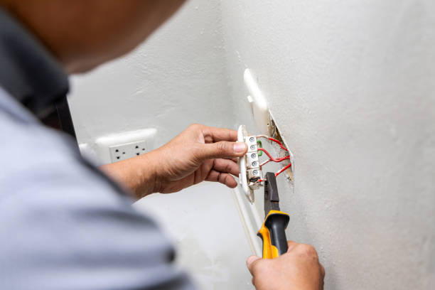 Best Electric Panel Repair  in Kana, UT